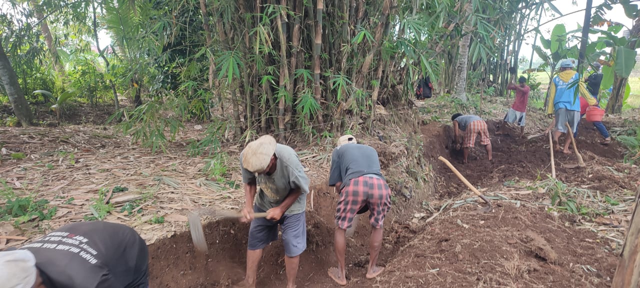 PEMBANGUNAN DRAINASE RT 03 RW 02 DESA KALIPELUS KECAMATAN PURWANEGARA